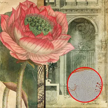 Фреска Ortograf