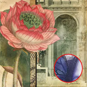 Фреска Ortograf