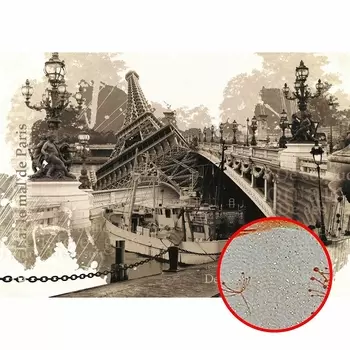 Фреска Ortograf