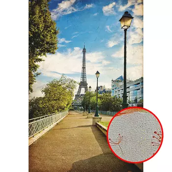 Фреска Ortograf