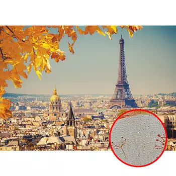 Фреска Ortograf