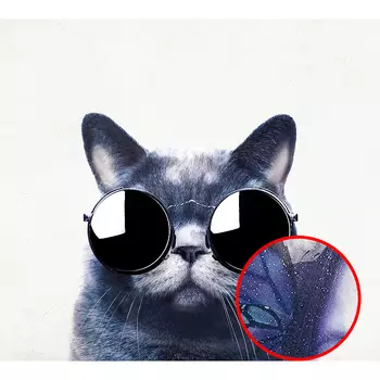 Фреска Ortograf