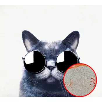 Фреска Ortograf