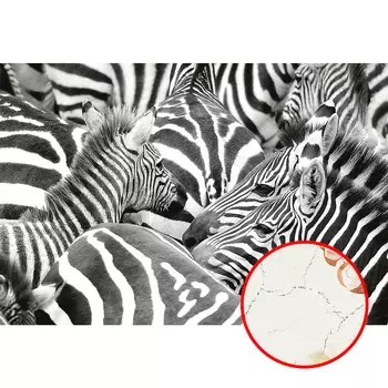 Фреска Ortograf