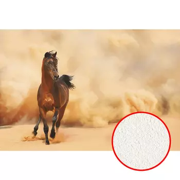 Фреска Ortograf