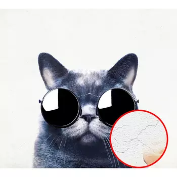 Фреска Ortograf