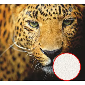 Фреска Ortograf