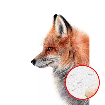 Фреска Ortograf