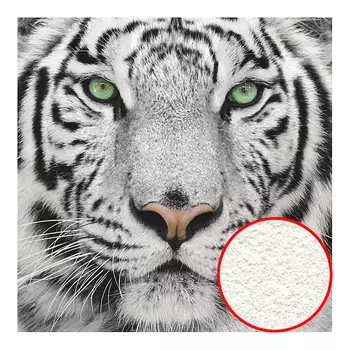 Фреска Ortograf