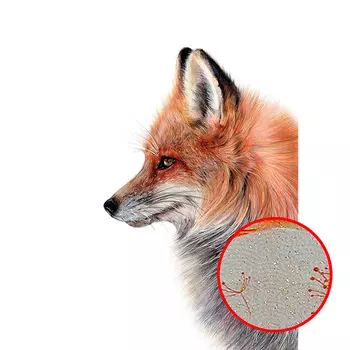 Фреска Ortograf