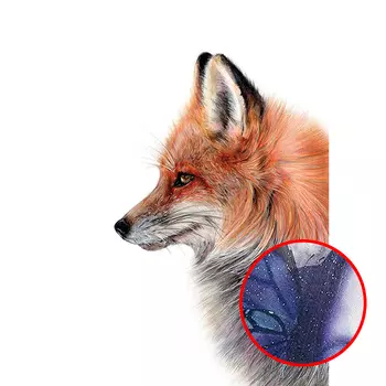 Фреска Ortograf