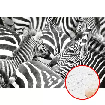 Фреска Ortograf