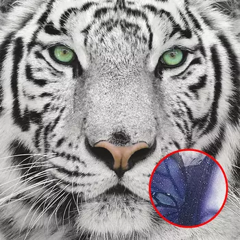 Фреска Ortograf