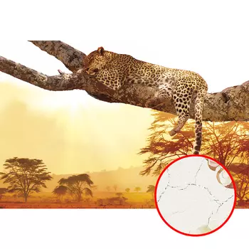 Фреска Ortograf