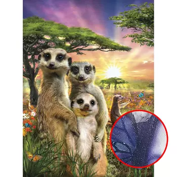 Фреска Ortograf