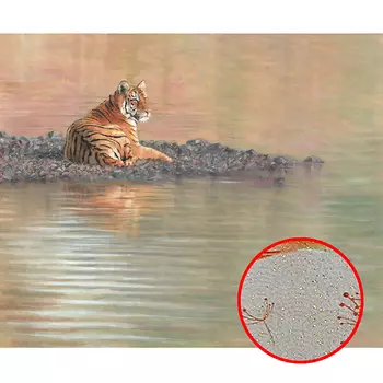 Фреска Ortograf