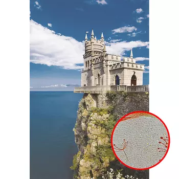 Фреска Ortograf