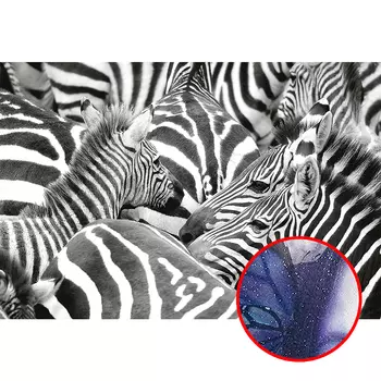 Фреска Ortograf