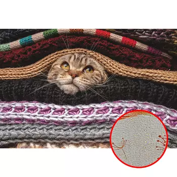 Фреска Ortograf