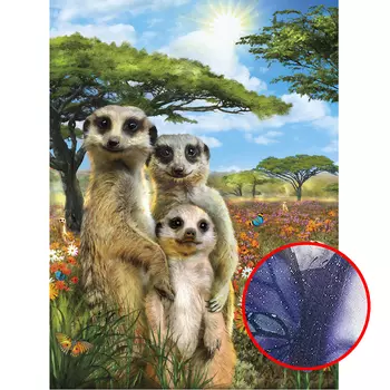 Фреска Ortograf