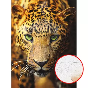 Фреска Ortograf