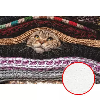 Фреска Ortograf