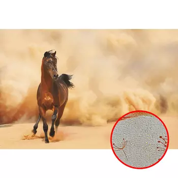 Фреска Ortograf