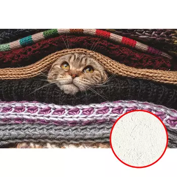 Фреска Ortograf