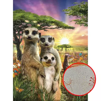 Фреска Ortograf