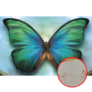 Фреска Ortograf