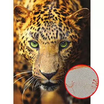 Фреска Ortograf