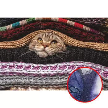 Фреска Ortograf