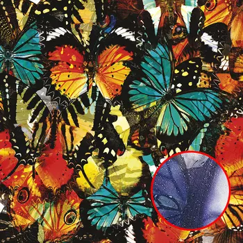 Фреска Ortograf