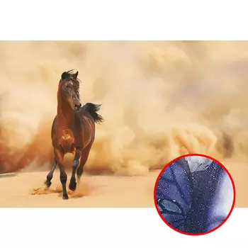 Фреска Ortograf