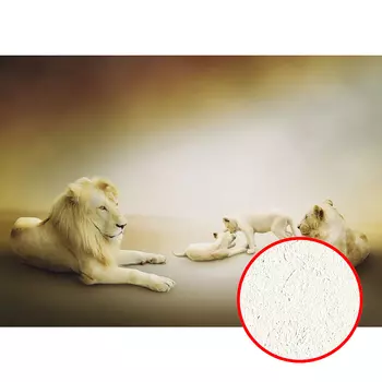 Фреска Ortograf