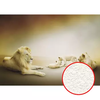 Фреска Ortograf