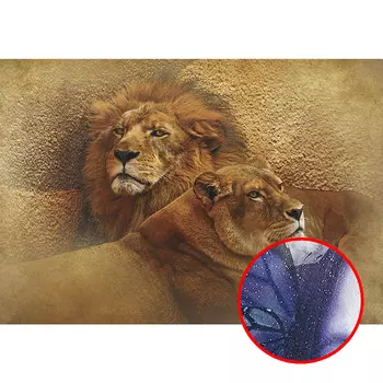 Фреска Ortograf