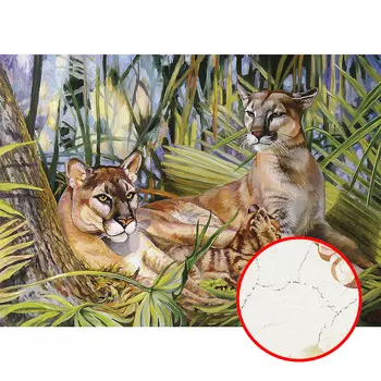 Фреска Ortograf