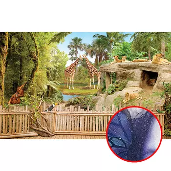 Фреска Ortograf