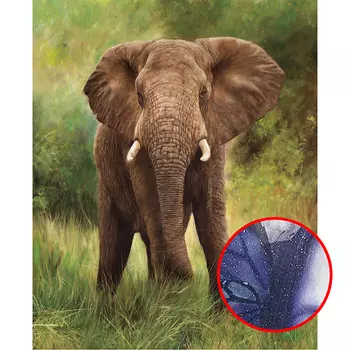 Фреска Ortograf