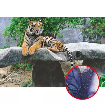 Фреска Ortograf