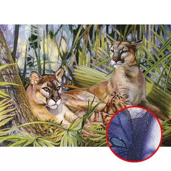 Фреска Ortograf