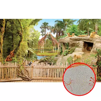 Фреска Ortograf