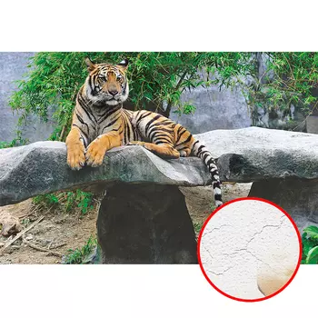 Фреска Ortograf