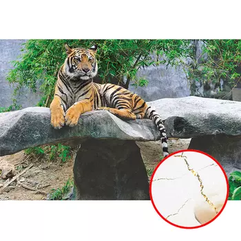 Фреска Ortograf