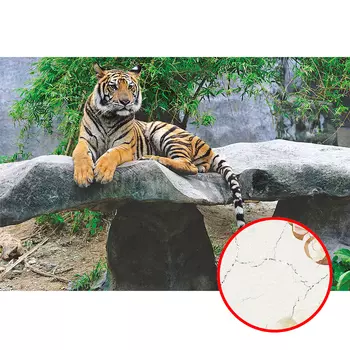 Фреска Ortograf