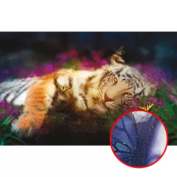 Фреска Ortograf