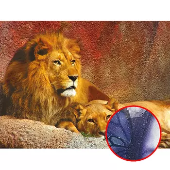 Фреска Ortograf