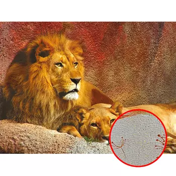 Фреска Ortograf