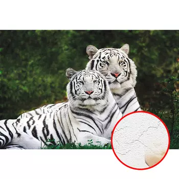 Фреска Ortograf